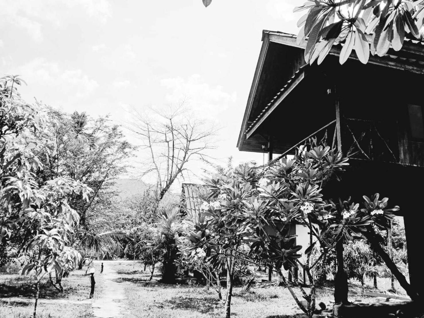Bamboo House Khao Sok National Park Exterior foto