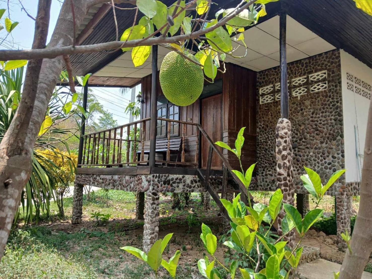 Bamboo House Khao Sok National Park Exterior foto