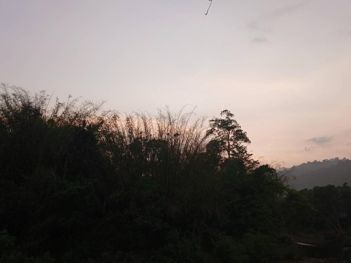 Bamboo House Khao Sok National Park Exterior foto