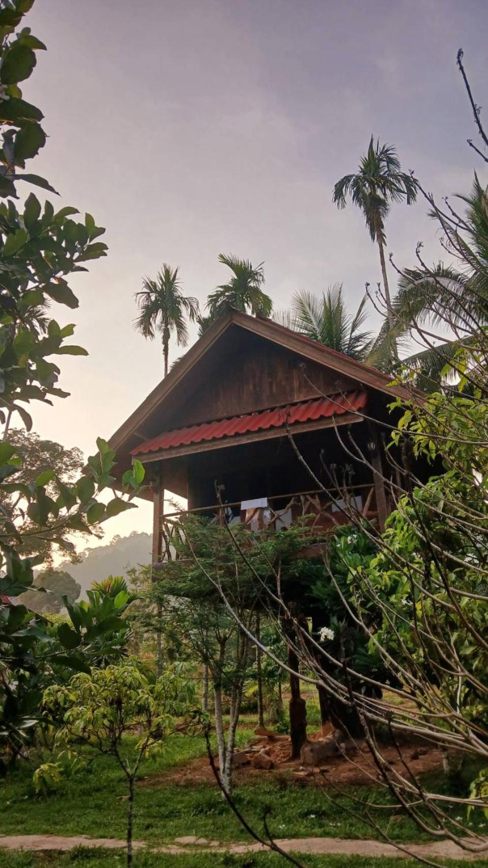 Bamboo House Khao Sok National Park Exterior foto