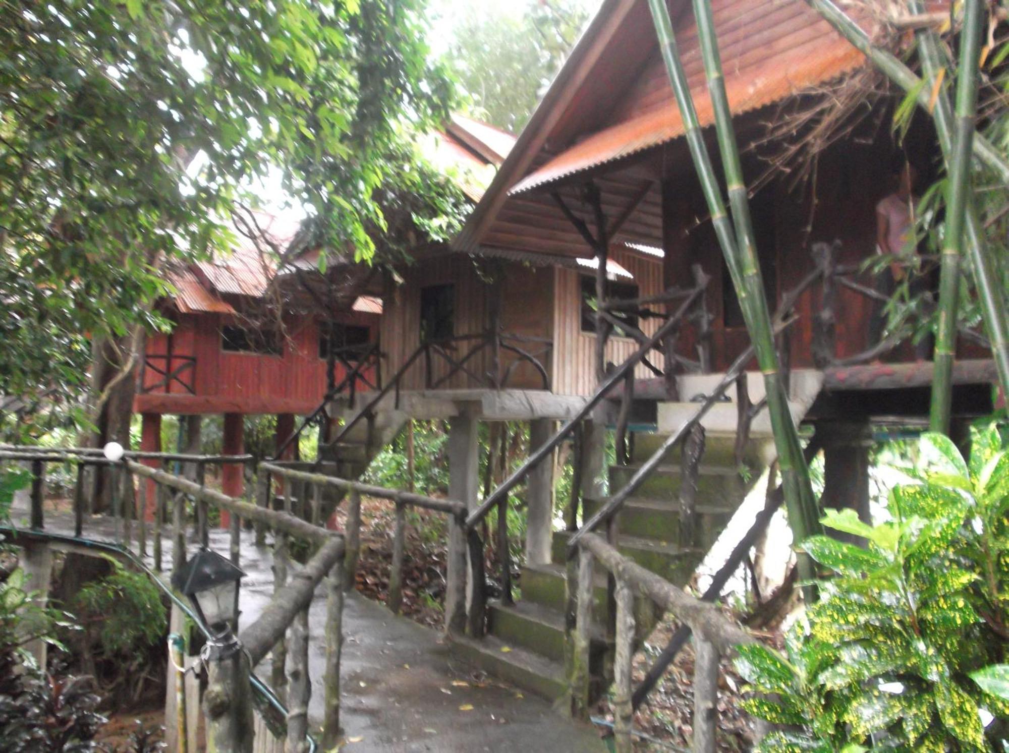 Bamboo House Khao Sok National Park Exterior foto
