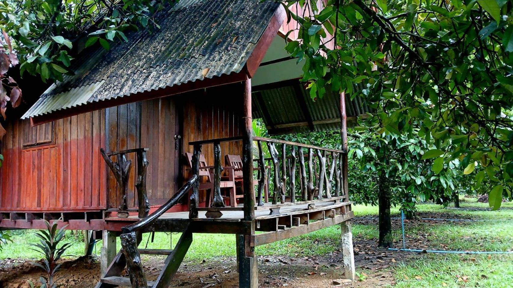 Bamboo House Khao Sok National Park Exterior foto