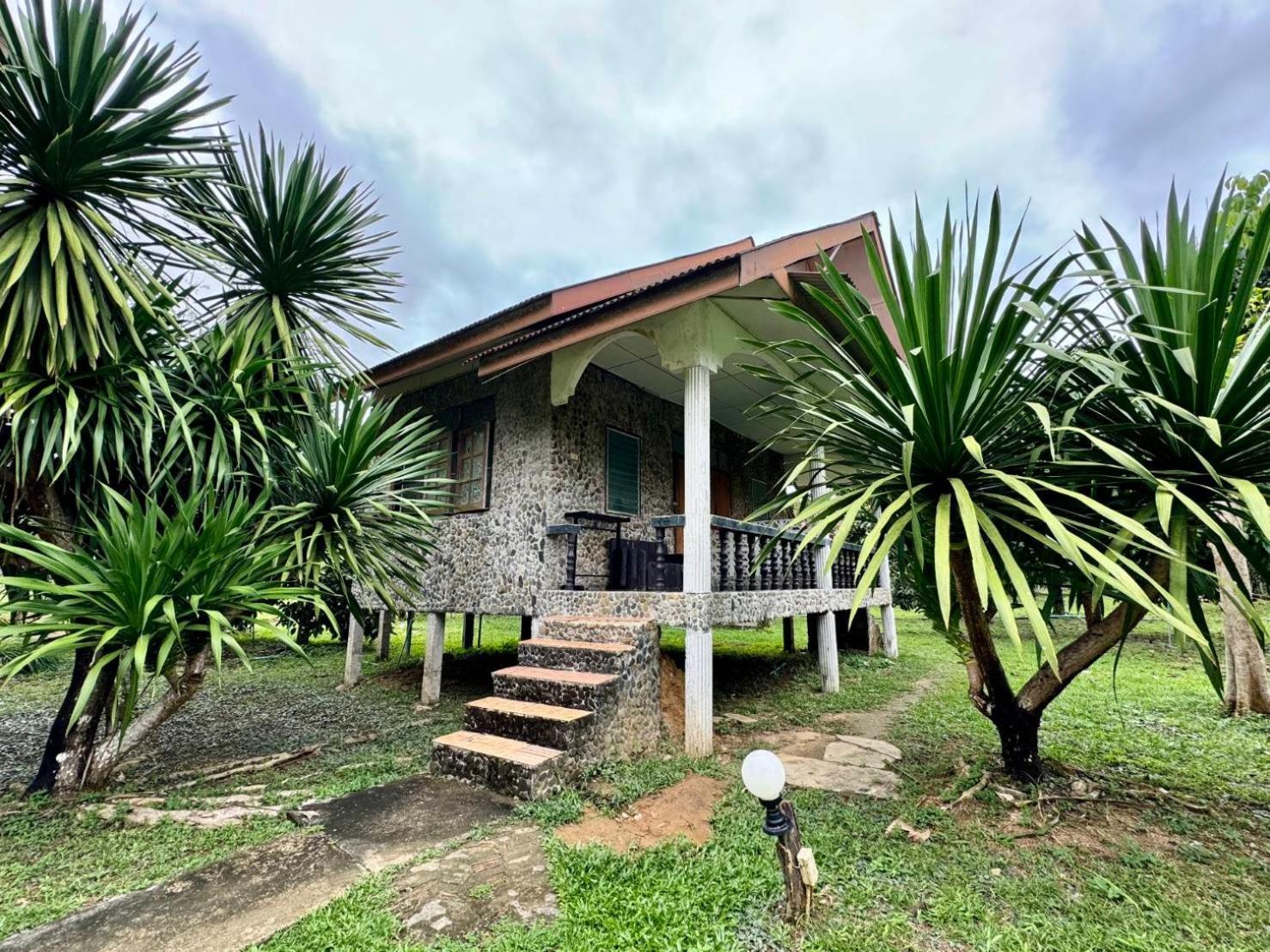 Bamboo House Khao Sok National Park Exterior foto